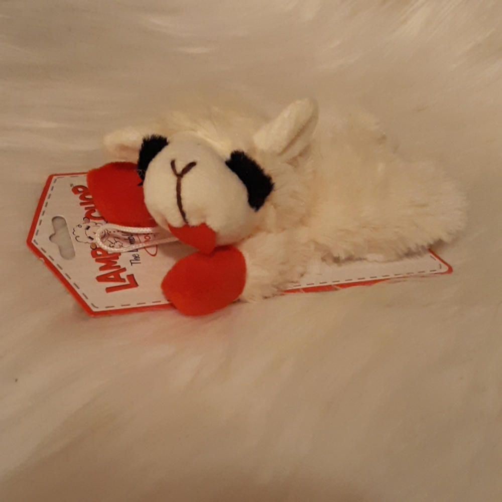~ Lamb Chops ~
